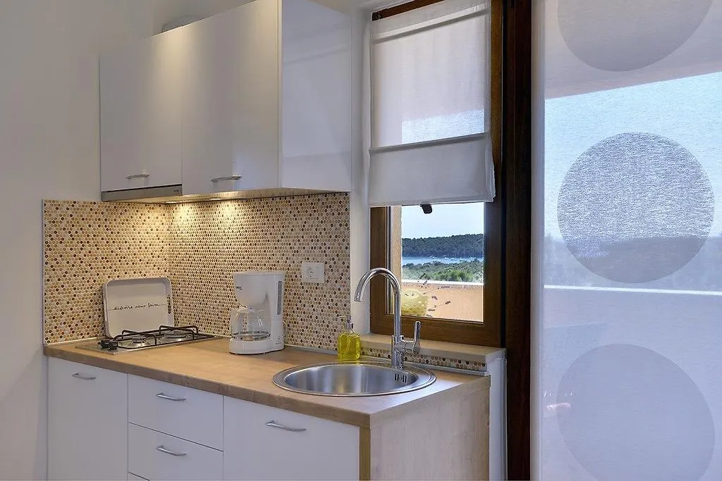 Apartments Buic Vinkuran